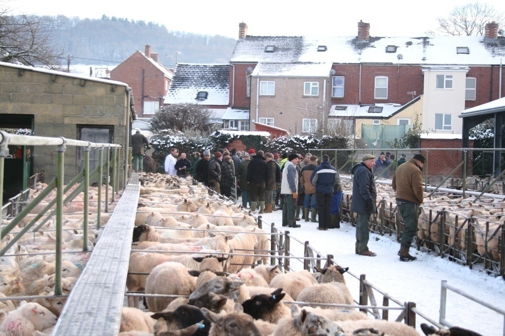 Talgarth Market
